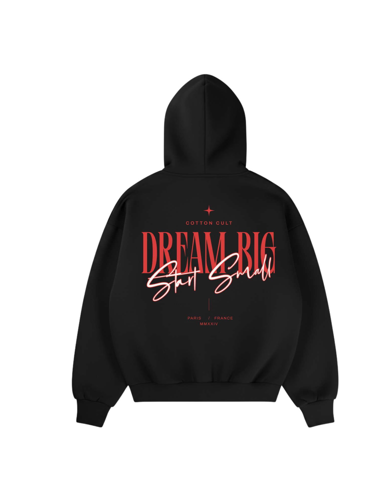 COTTONCULT (DREAM BIG START SMALL ) HOODIE